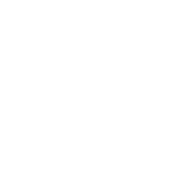 logo light